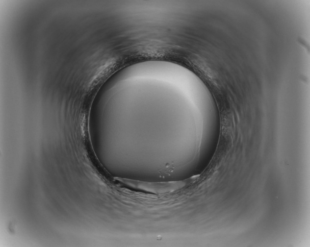 X0000098020023200804111309