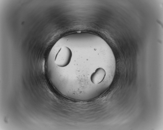 X0000098020024200804111309