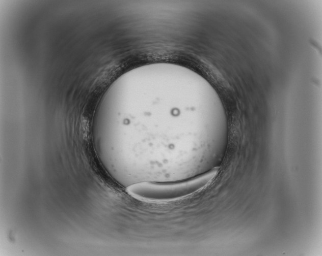 X0000098020025200804111309