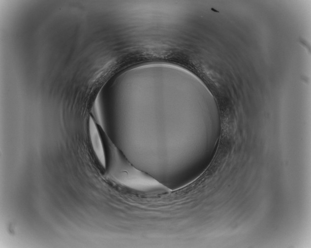 X0000098020027200804111309