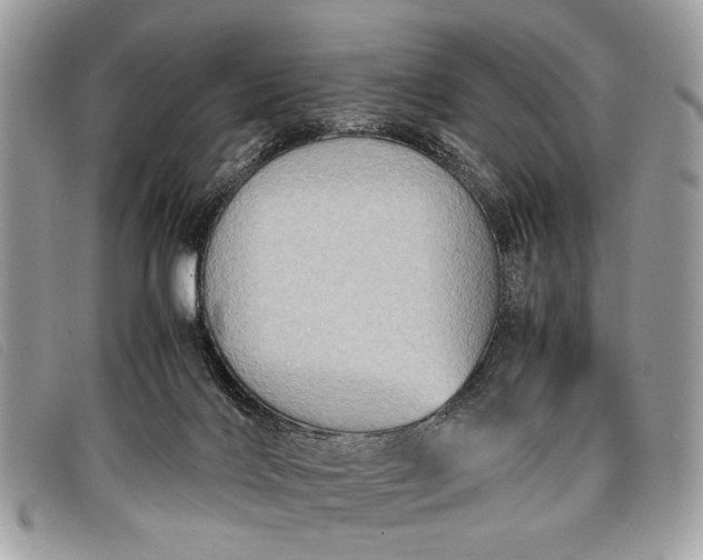 X0000098020028200804111309