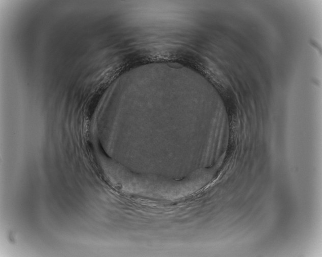 X0000098020029200804111309