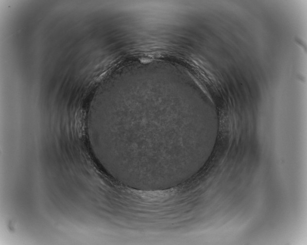 X0000098020030200804111309