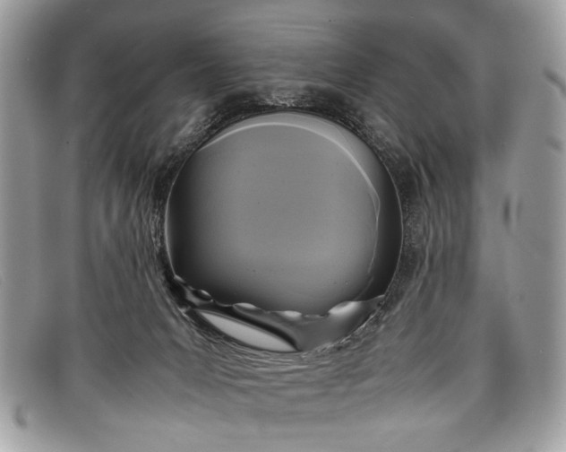 X0000098020031200804111309