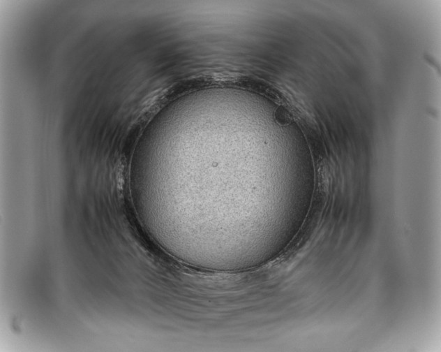 X0000098020032200804111309