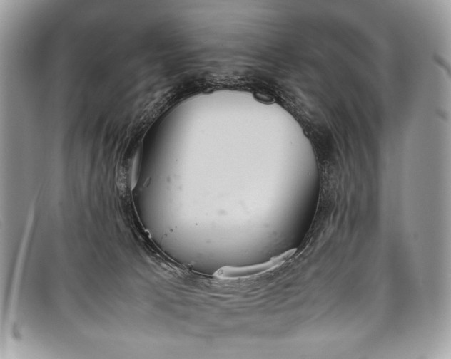 X0000098020033200804111309