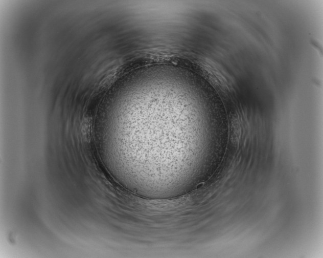 X0000098020034200804111309