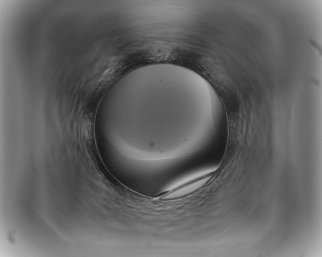 X0000098020035200804111309