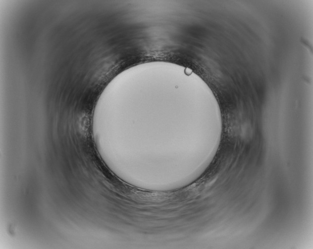 X0000098020036200804111309