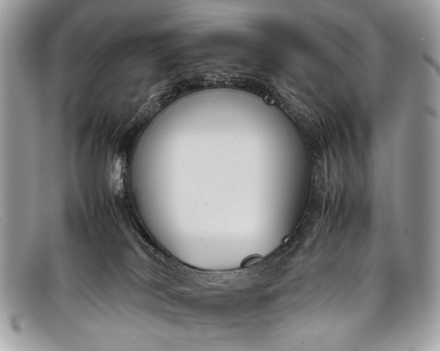 X0000098020038200804111309