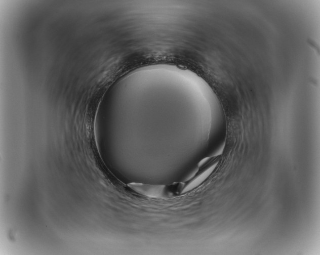 X0000098020039200804111309