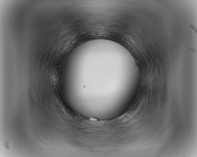 X0000098020040200804111309