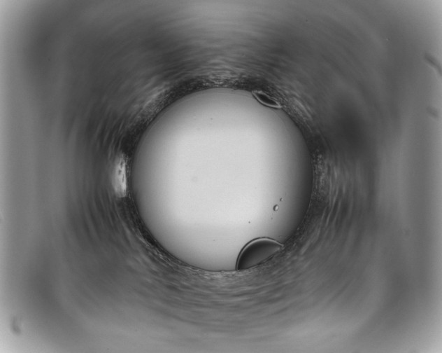 X0000098020042200804111309