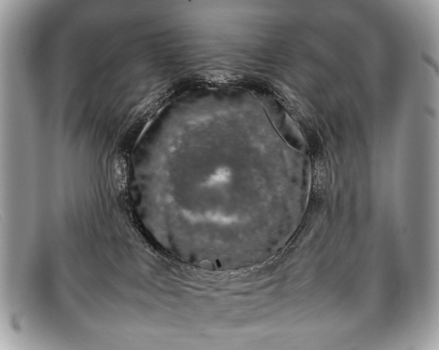 X0000098020043200804111309