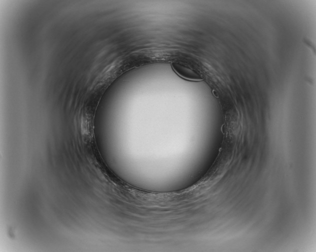 X0000098020044200804111309