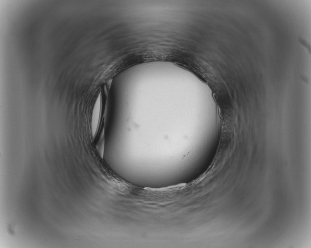 X0000098020045200804111309