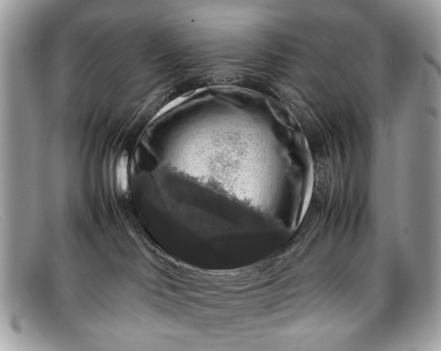 X0000098020046200804111309