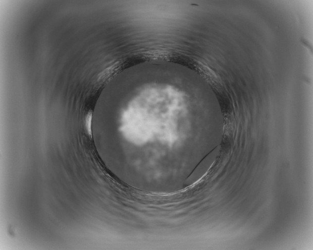 X0000098020047200804111309