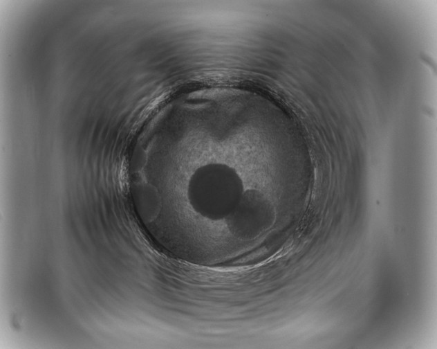 X0000098020048200804111309