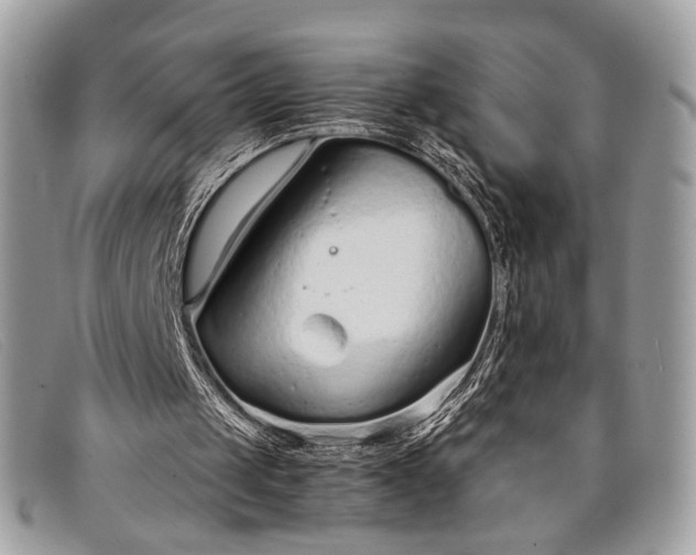 X0000098020049200804111308