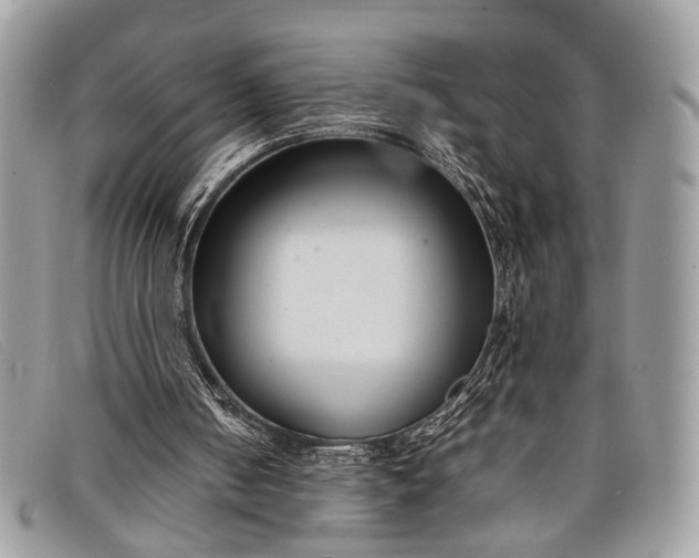 X0000098020050200804111308