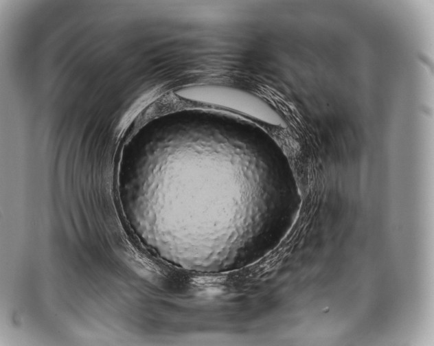 X0000098020051200804111308