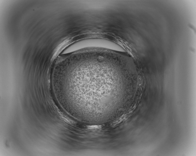 X0000098020053200804111308