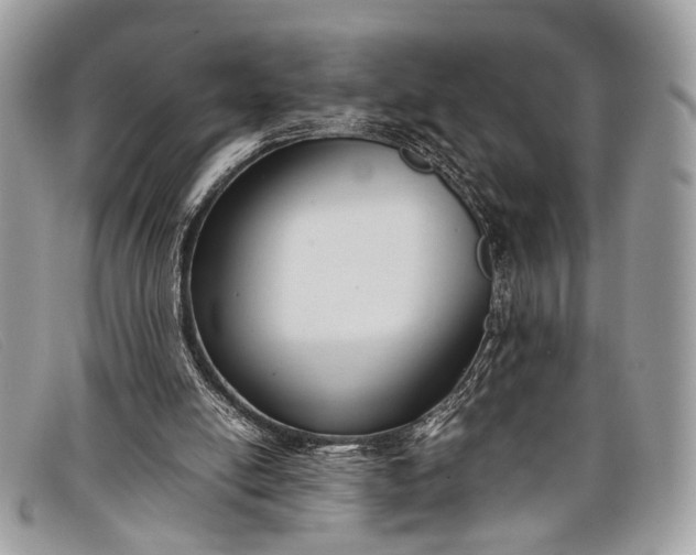 X0000098020054200804111308