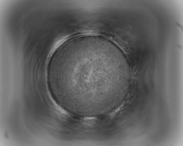 X0000098020055200804111308