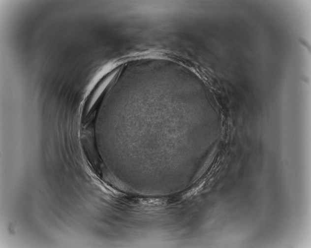 X0000098020056200804111308