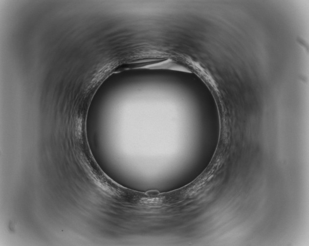 X0000098020057200804111308