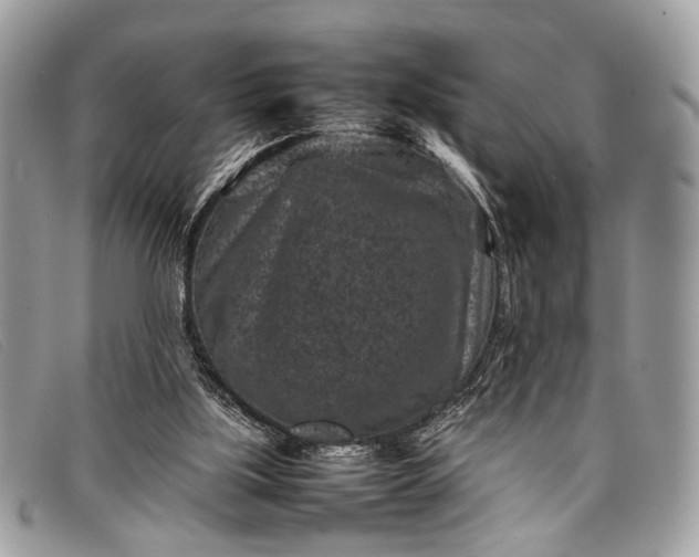 X0000098020059200804111308