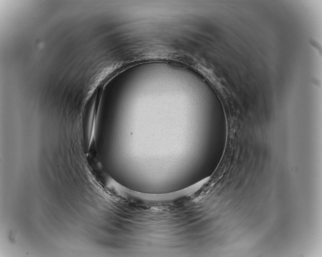 X0000098020060200804111308