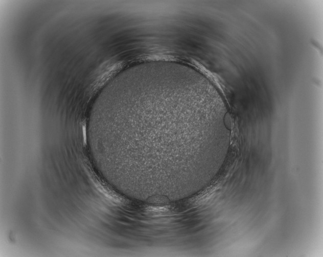 X0000098020061200804111308