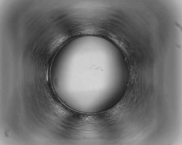 X0000098020062200804111308