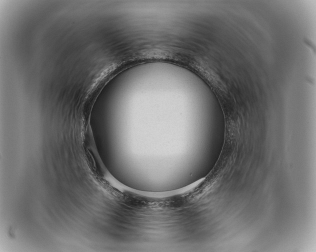 X0000098020064200804111308