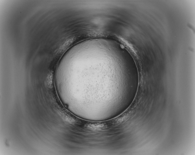 X0000098020065200804111308