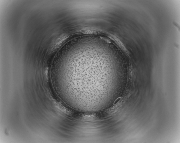 X0000098020066200804111308