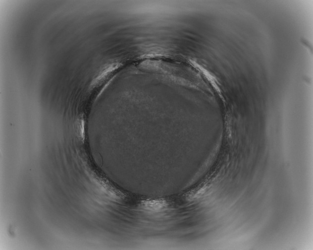 X0000098020067200804111308