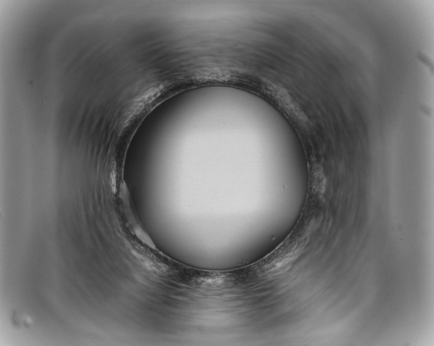 X0000098020068200804111308