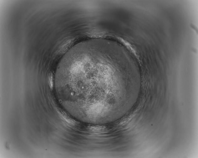 X0000098020069200804111308