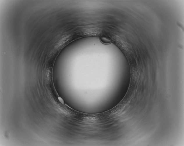 X0000098020071200804111308