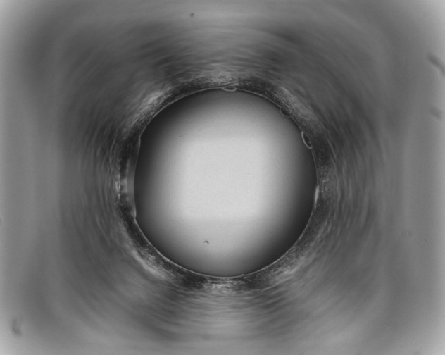 X0000098020072200804111308