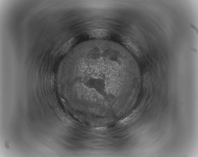 X0000098020073200804111308