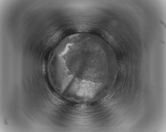 X0000098020074200804111308