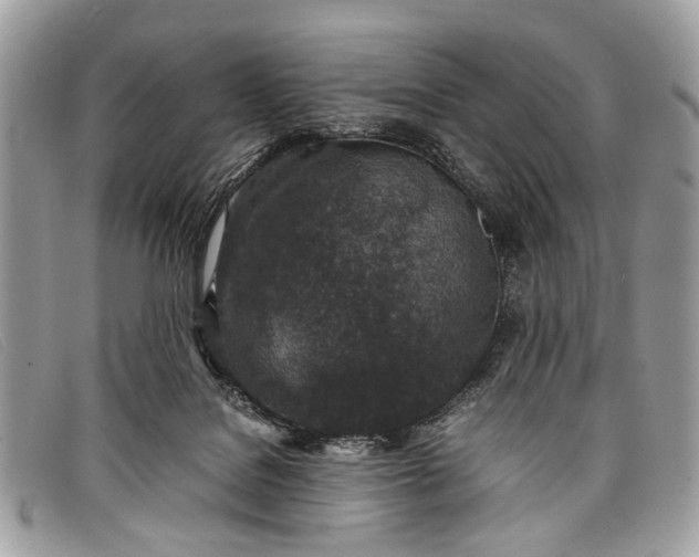 X0000098020076200804111308