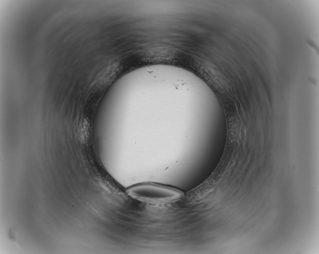 X0000098020077200804111308