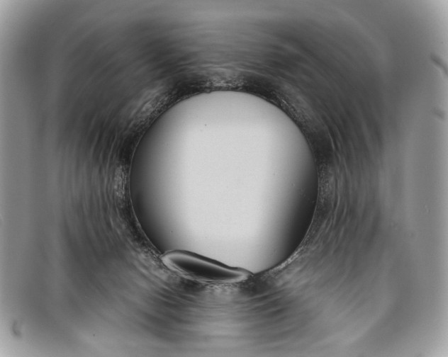 X0000098020078200804111308