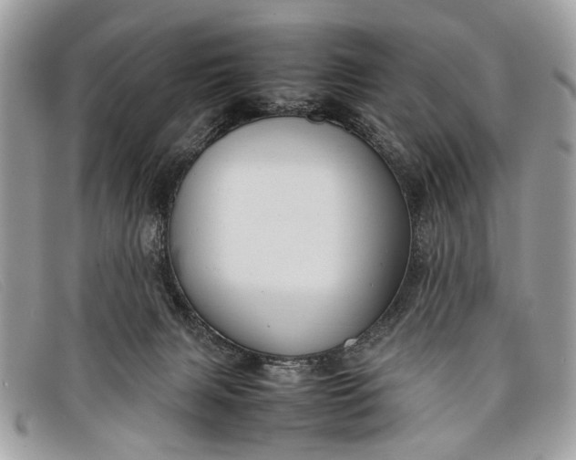 X0000098020079200804111308