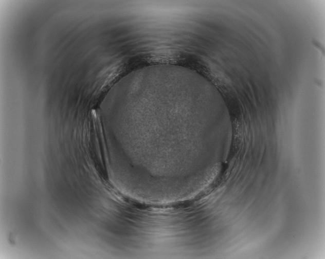 X0000098020080200804111308